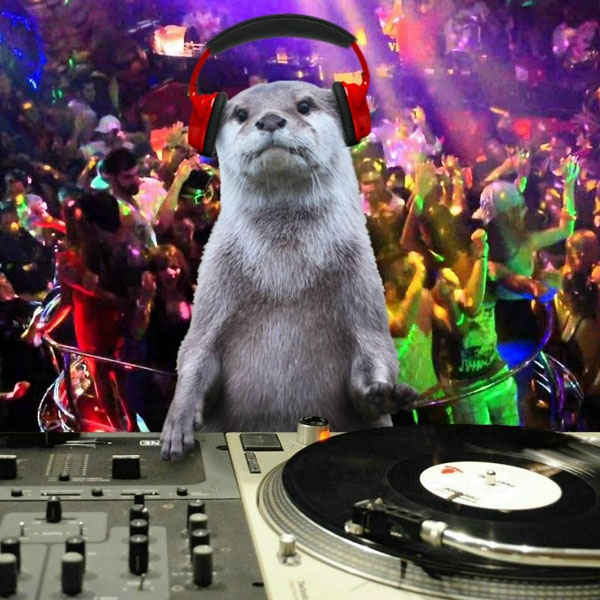 Steve The Otter DJ