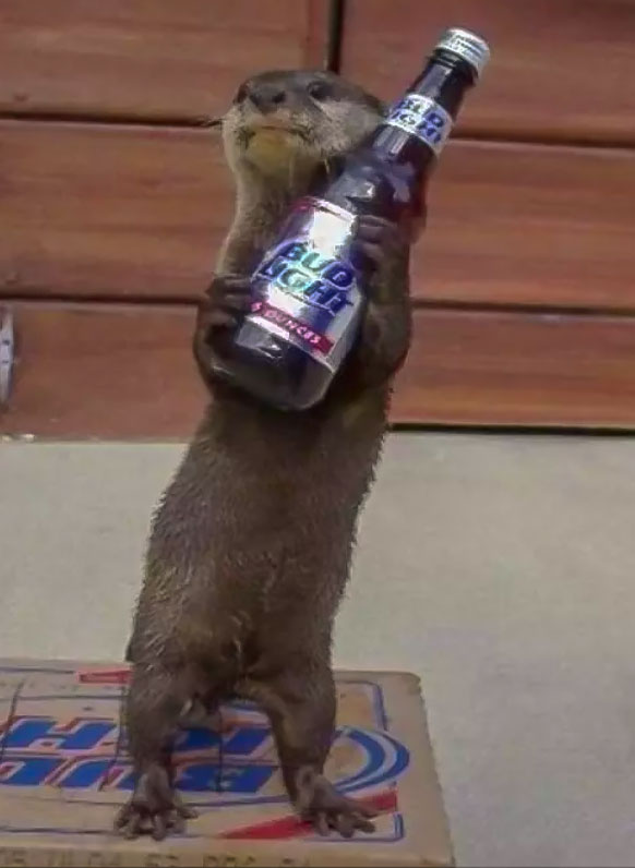 Steve the otter with beer