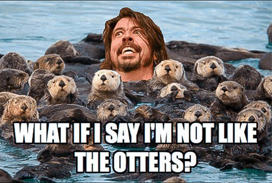 What-if-i-say-im-not-like-the-otters.jpg