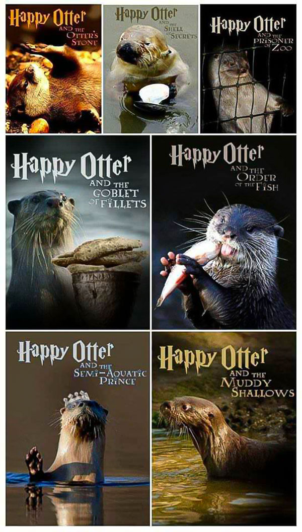 Harry-Otter-Meme Happy Otter Film Meme
