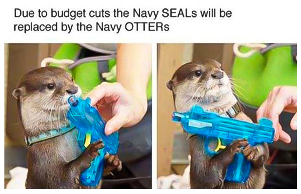 Otter Navy Seals Meme
