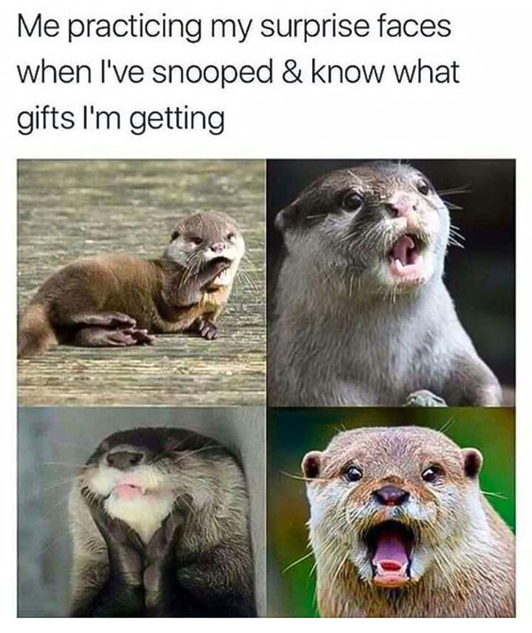 Surprised Otters Meme