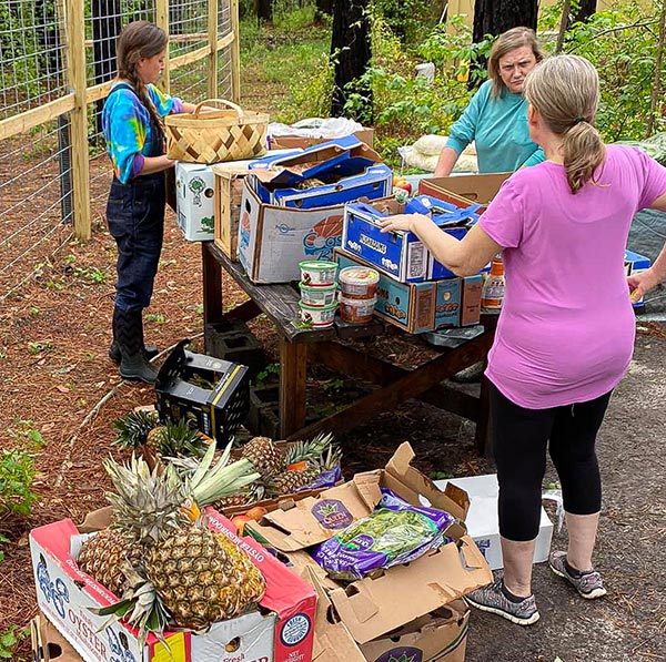 Rescue-Food-Hamper truck bed load of produce from Lees Farmers Market