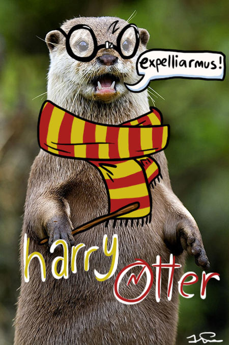 Harry-Otter-In-Scarf-Meme Harry Otter Expelliarmus meme
