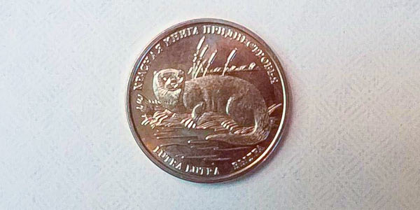 Otter Wedding Coin