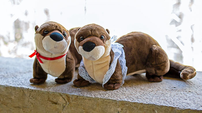 Otter Wedding Gifts