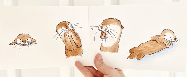 Otter Drawings
