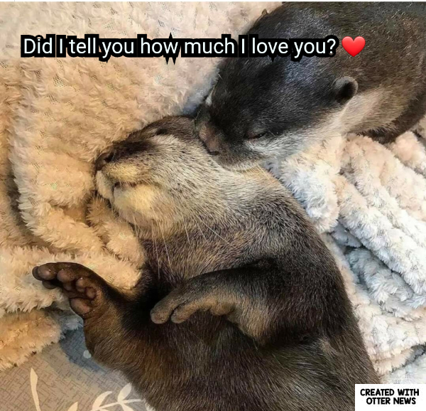 Did I tell you how much I love you? In Otter News